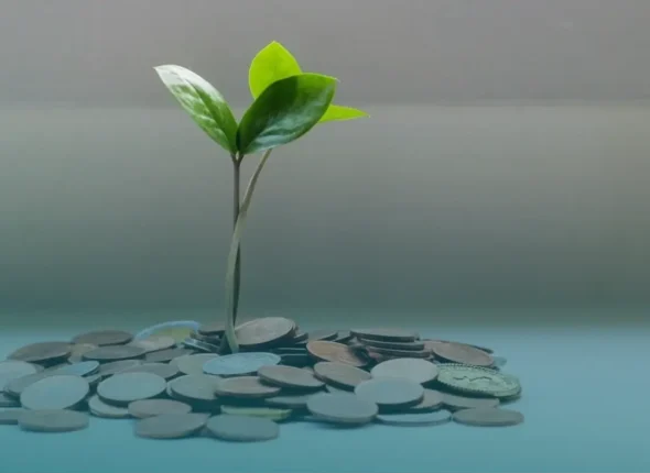 Financial Management